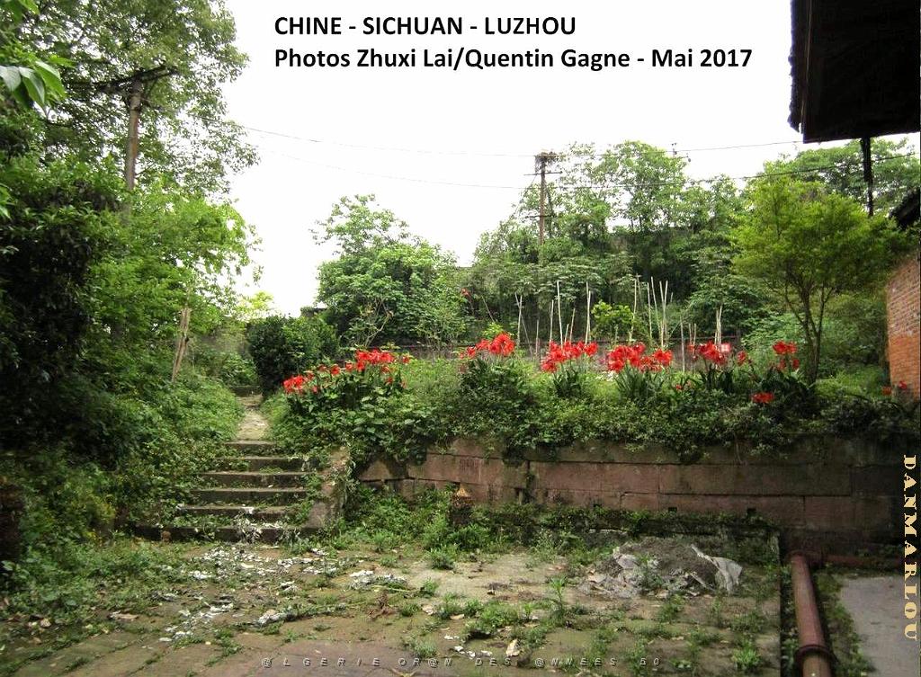 Luzhou 039.JPG